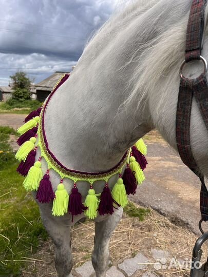 Набор для пони
