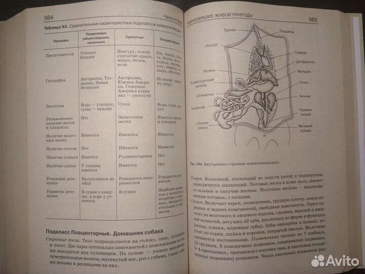 Биология справочник для школьников и поступающих