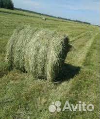 Сено в мешках есть доставка звоните