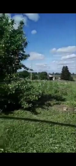 Участок 12 сот. (ИЖС)