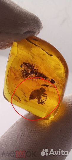 Два самородка янтаря с инклюзами