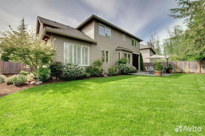 Рулонный газон 100 Мятлик