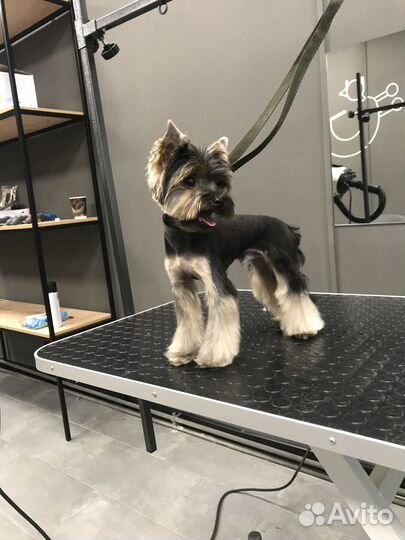 Модели на груминг