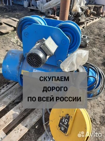 Тельфера болгарские