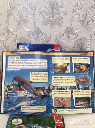 Энциклопедия с развивающими заданиями