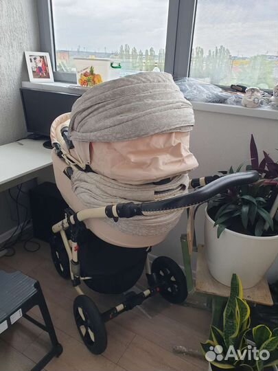Детские коляски 2 в 1 adamex
