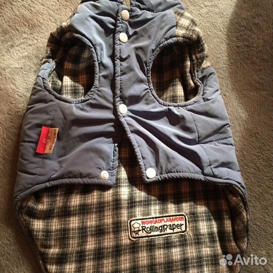 Одежда для собак мелких пород