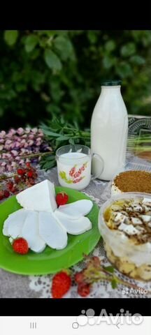 Козье молоко с доставкой купить в Строителе | Товары для дома и дачи ...