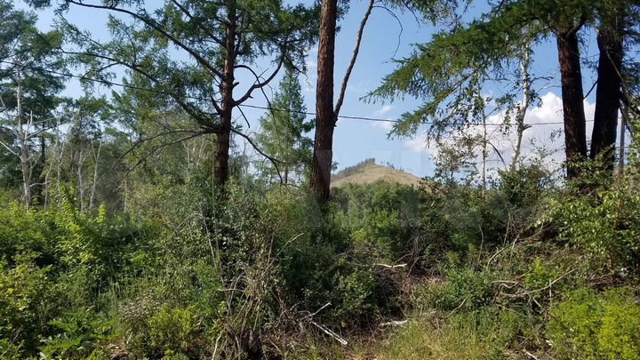 Участок 19,2 сот. (ИЖС)