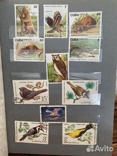 Почтовые марки СССР и мира