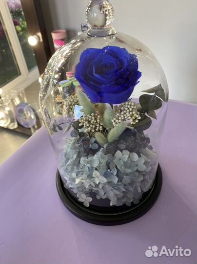 Цветы и сухоцветы, роза в колбе