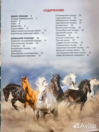 Энциклопедия для детей Лошади