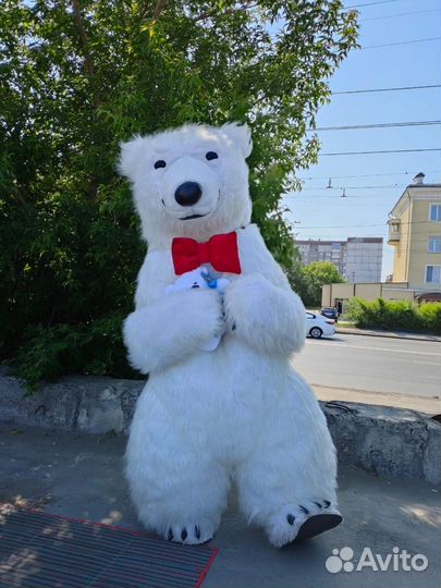 Ростовые куклы в Майкопе