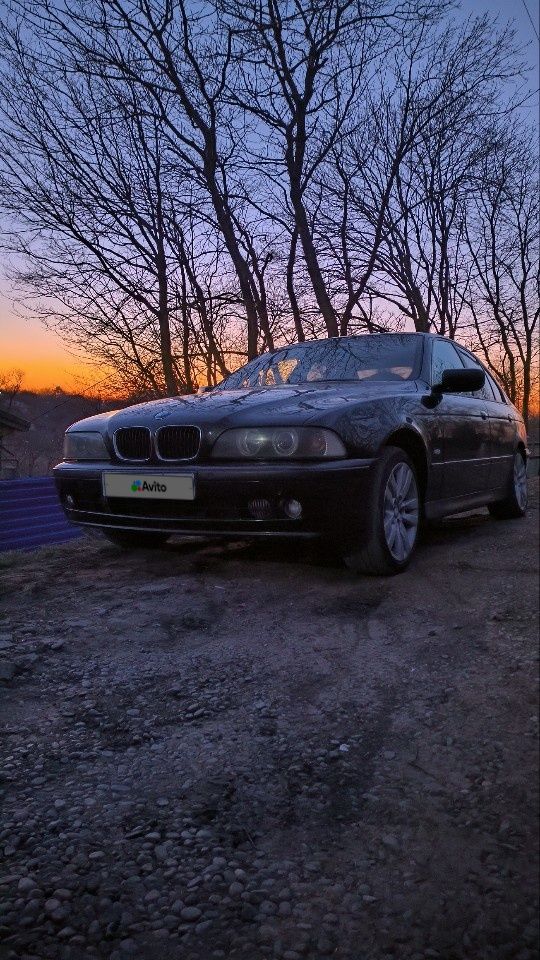 BMW 5 серия: фото владельца