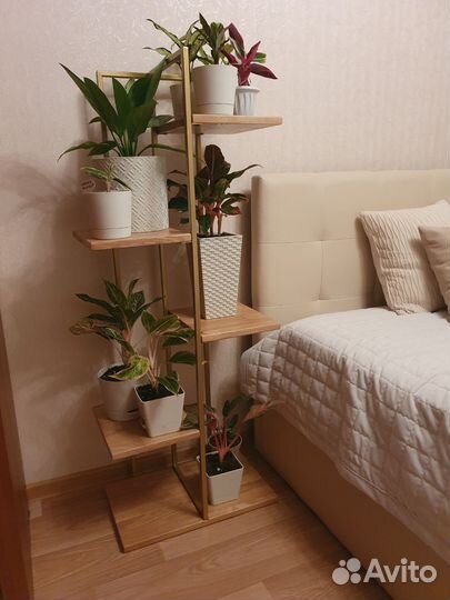 Подставка - стеллаж для цветов