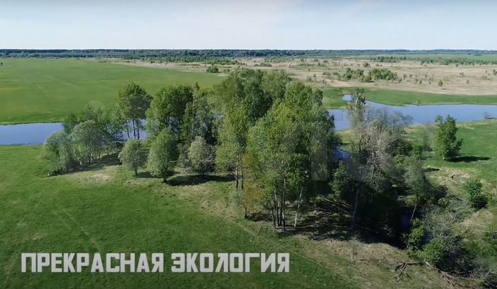 Участок 27 сот. (СНТ, ДНП)