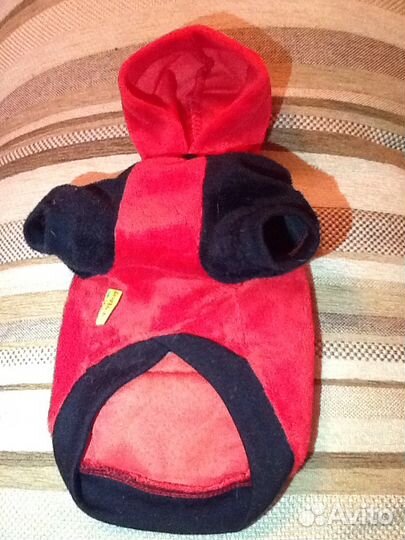 Одежда для собак