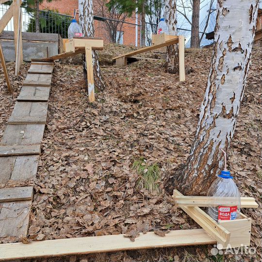 Березовый сок