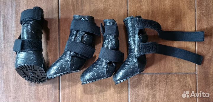 Обувь для собак