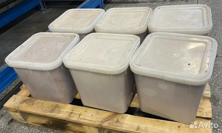 Дягилевый мед свежий оптом