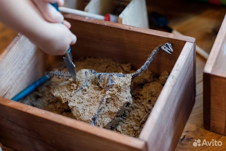 Раскопки динозавров мастер-класс на мероприятие