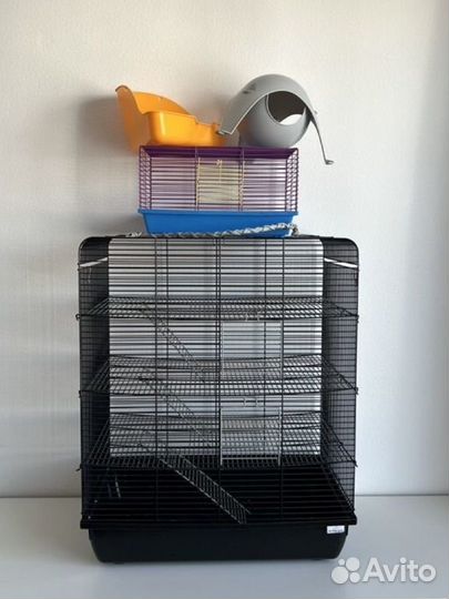 Клетка для грызунов: крыс, хомяков, морских свинок
