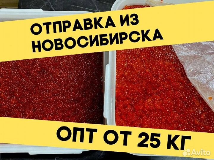Икра красная нерки, улов июнь 2023 года