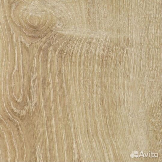 Ламинат Alsafloor Solid Medium 621 Дуб Канарский