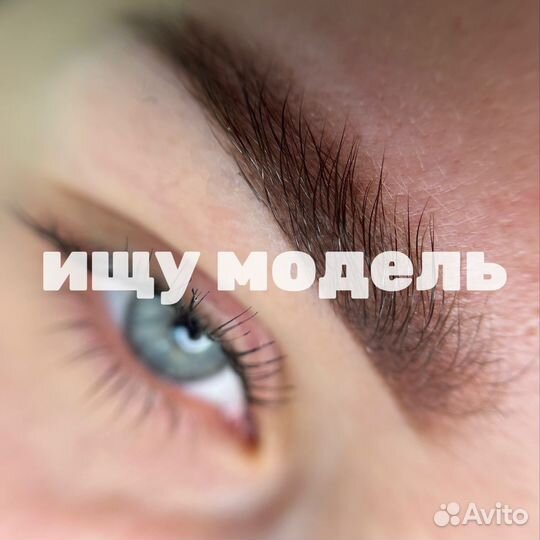 Модель на перманентный макияж бровей