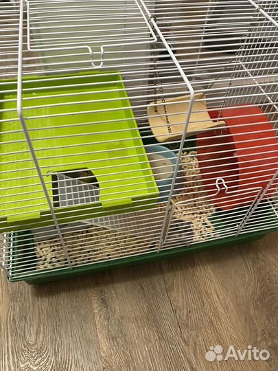 Джунгарский хомяк с клеткой