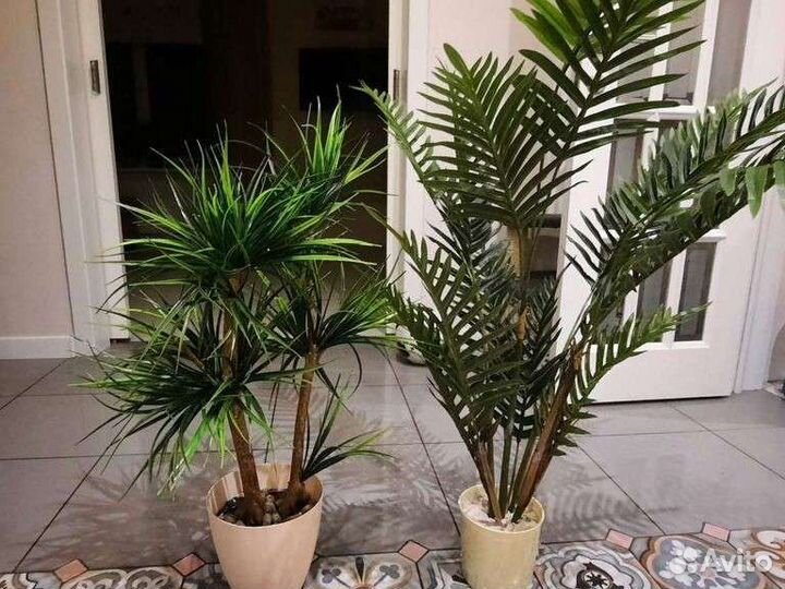 Искусственная пальма не отличить от настоящей