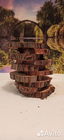 Спилы можжевельника (набор для творчества)