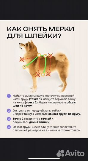 Шлейка для средней собаки