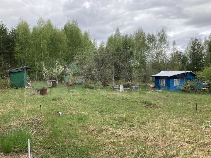 Участок 10 сот. (СНТ, ДНП)