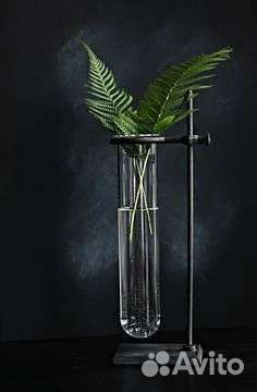 Репетитор по химии и биологии