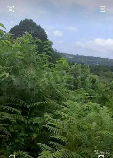 Участок 5 сот. (ИЖС)