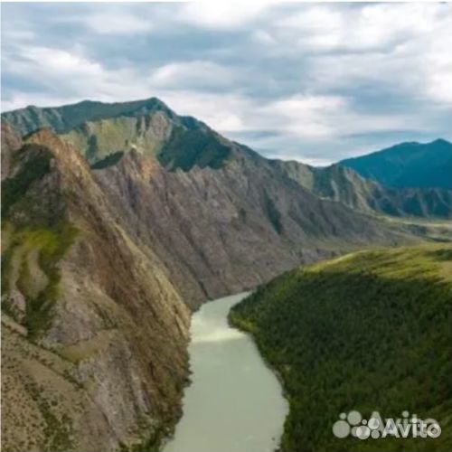 17авг24 Тур «Алтайская кругосветка» /рэ3011