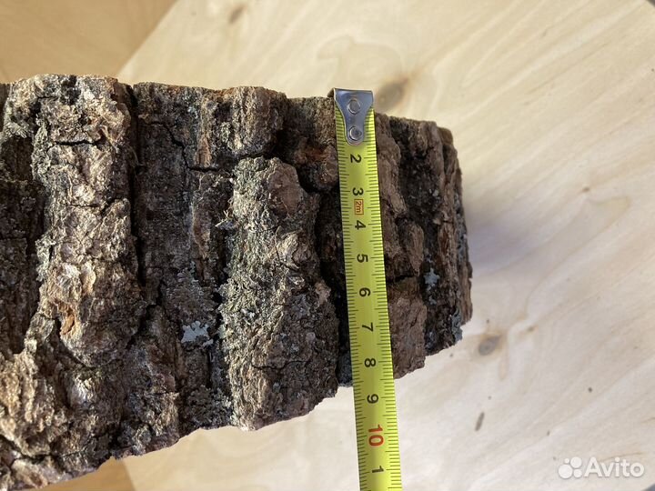 2 спила дуба для творчества