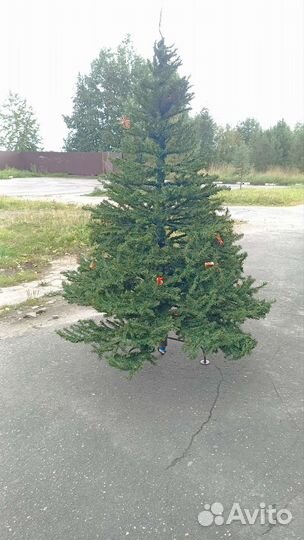 Ель искуственная 2 метра