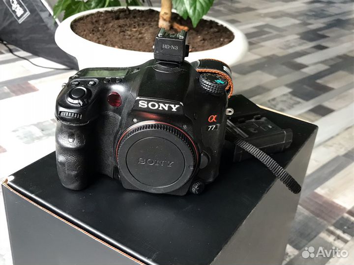 Sony A77