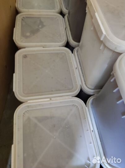 Мед подсолнечный оптом