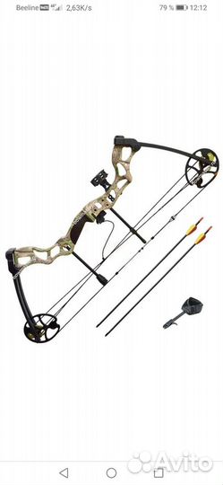 Спортивный блочный лук