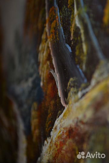 Картина маслом на холсте 58х48 с подресовками