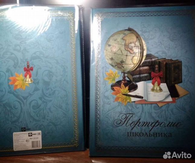 Портфолио школьника Феникс