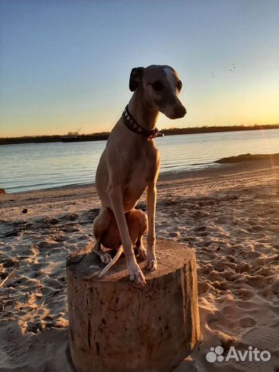 Фотосессия