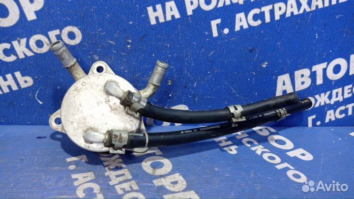 Радиатор масляный Honda Fit хэтчбек L13Z1 2012