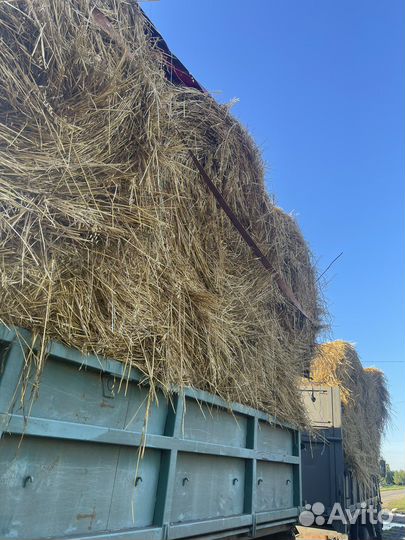 Сено в тюках