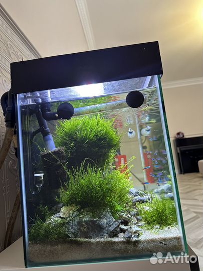 Аквариум