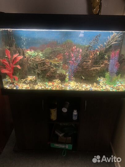 Аквариум 200 литров с тумбой