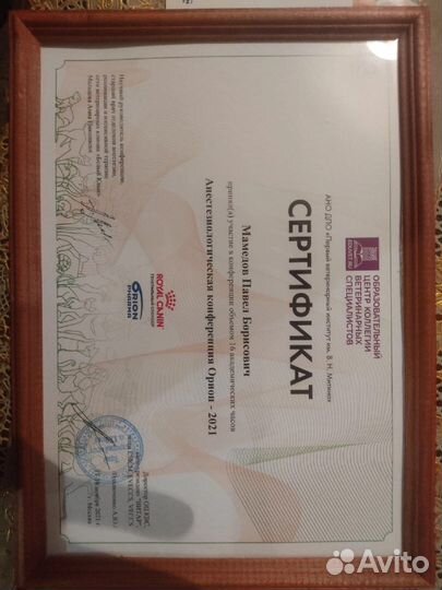 Вет врач На дом Круглосуточно